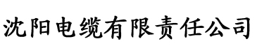 大香蕉在线97人妻电缆厂logo